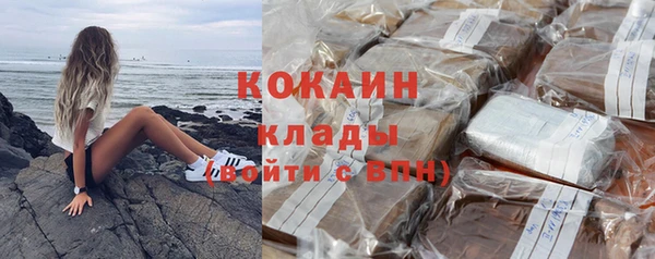 крисы Богданович