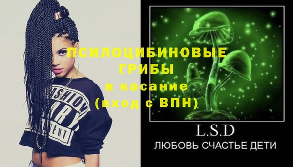 крисы Богданович