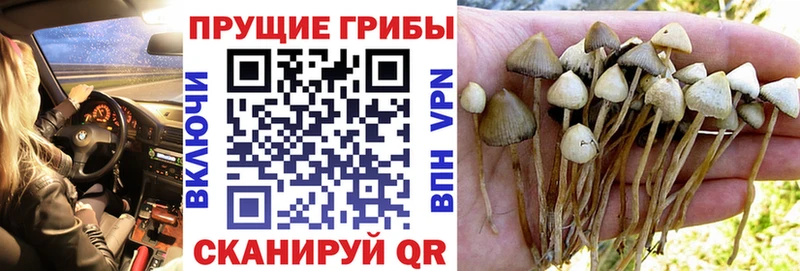 Галлюциногенные грибы ЛСД  Котельниково 