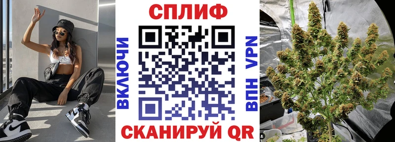 Шишки марихуана планчик  гидра зеркало  Котельниково  даркнет сайт 